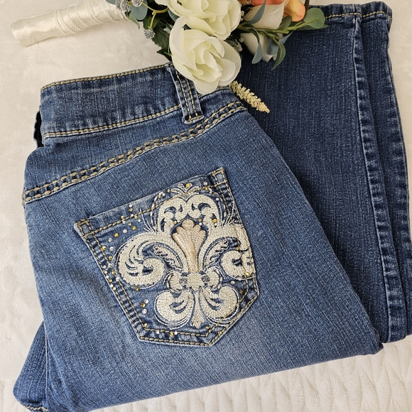 Lane Bryant Denim - LANE BRYANT Skinny Jeans with Embroidery and Embellishments